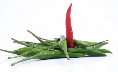 Piment bec d'oiseau