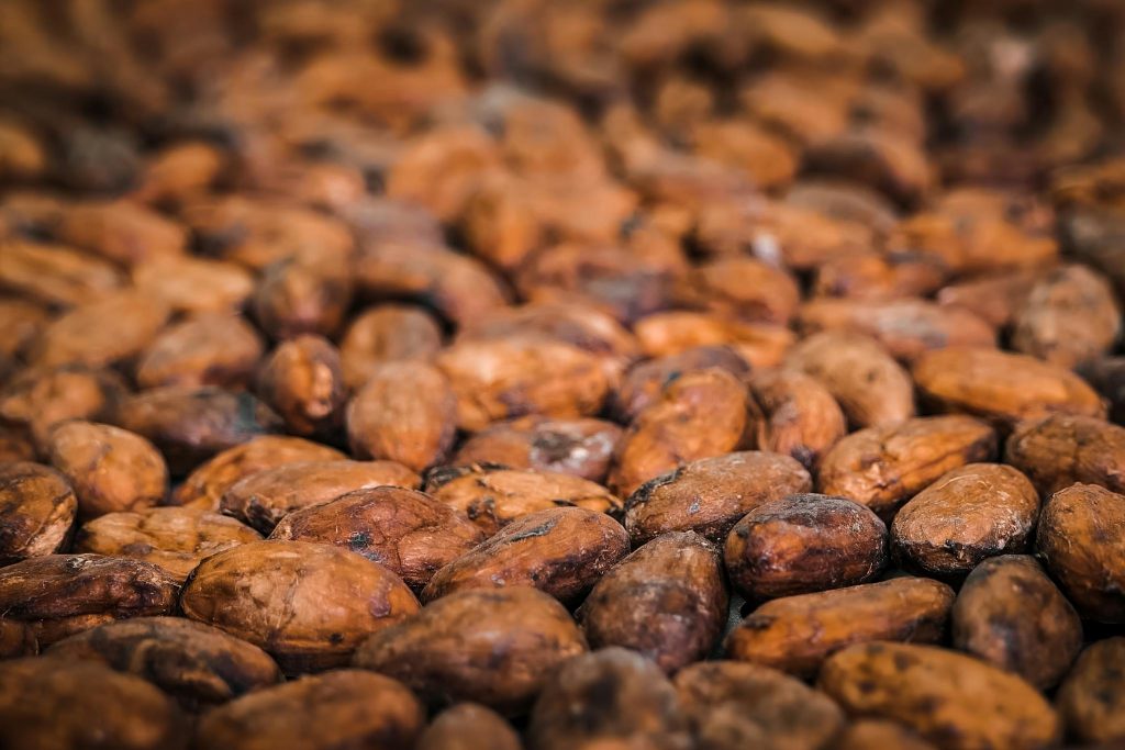 Detailed close-up of roasted cocoa beans, showcasing their natural texture and earthy tones.