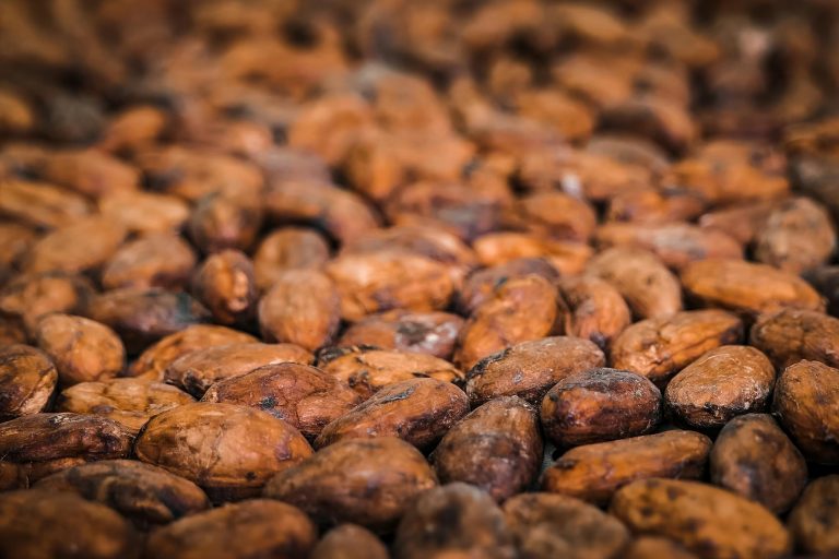 Detailed close-up of roasted cocoa beans, showcasing their natural texture and earthy tones.