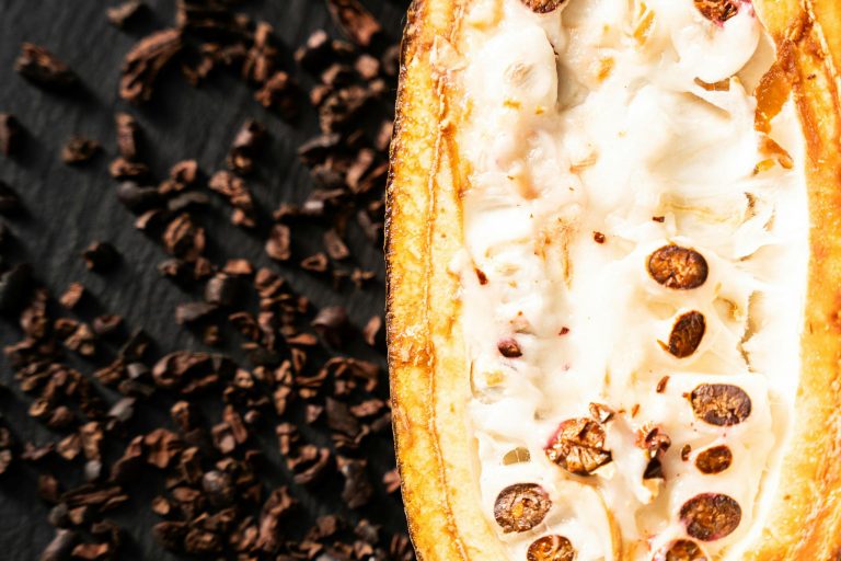 The Essentials of Blogging: Tips and Strategies for Success